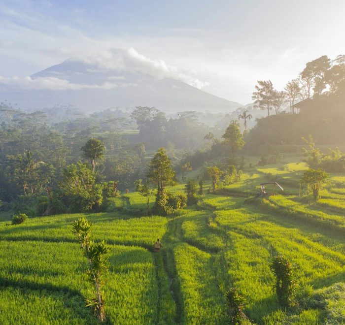 Viajes a Indonesia