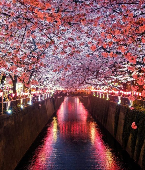 Viajes a Japon