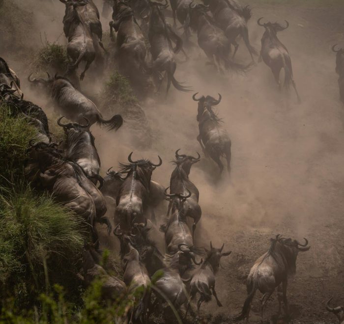 Viajes a Kenia