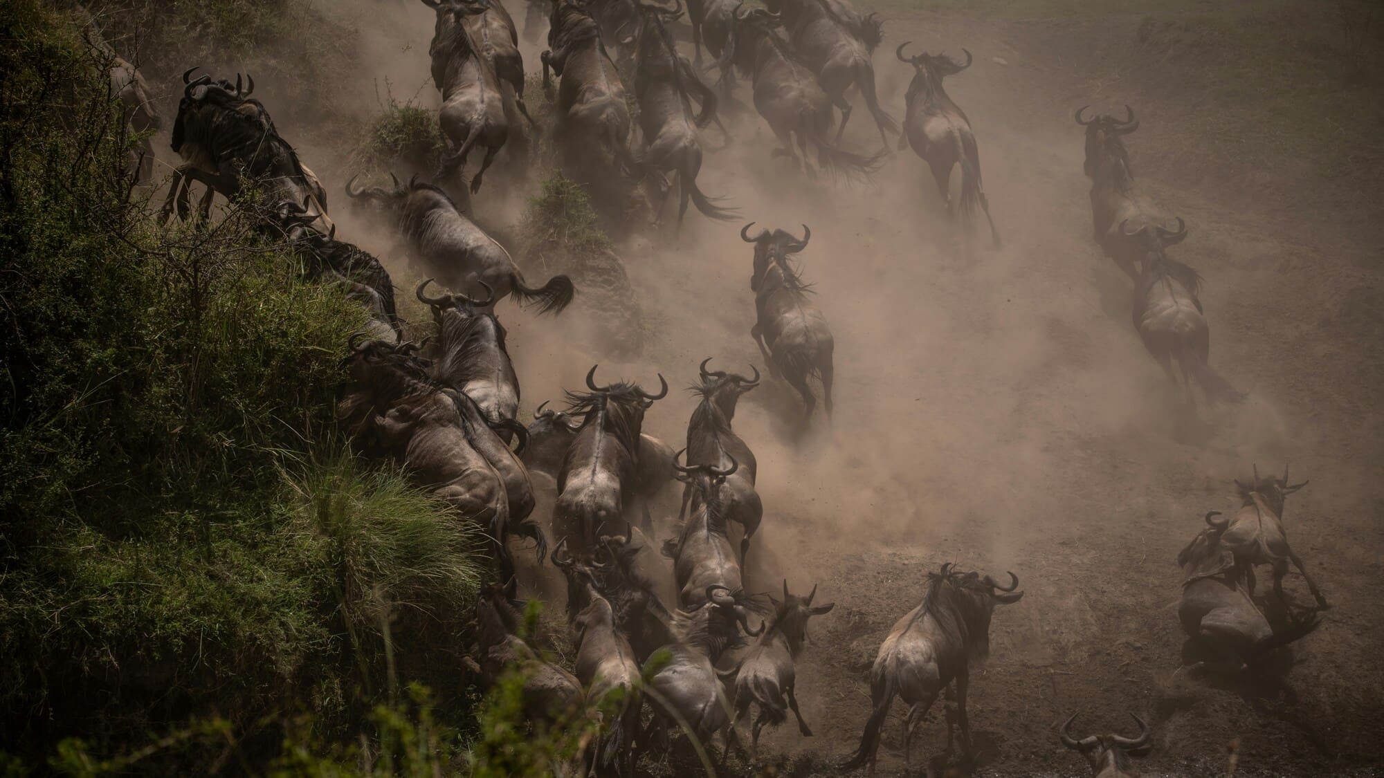 Viajes a Kenia