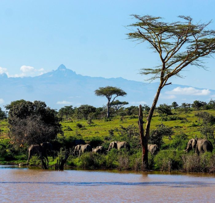 Viajes a Kenia