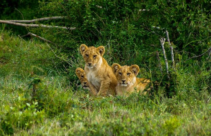 Viajes a Kenia