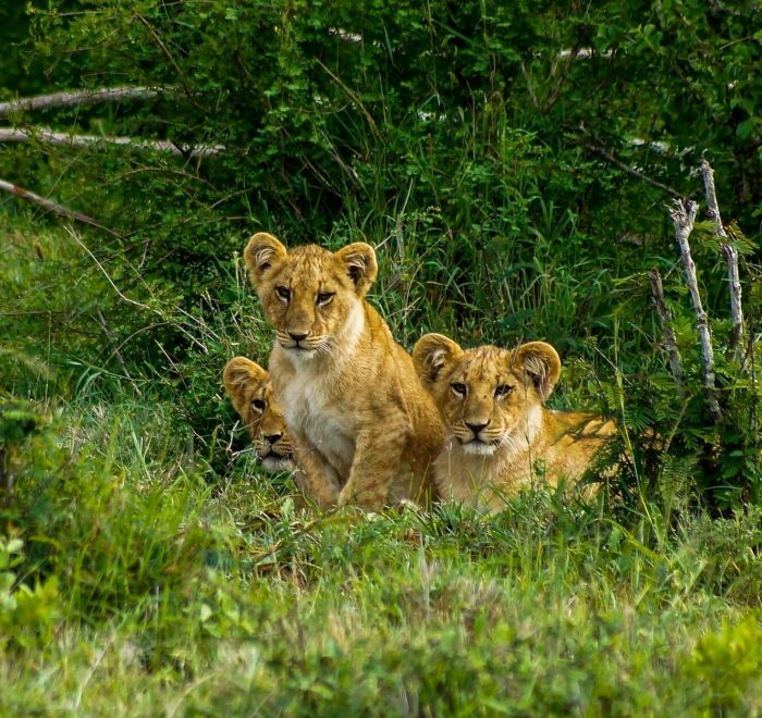 Viajes a Kenia