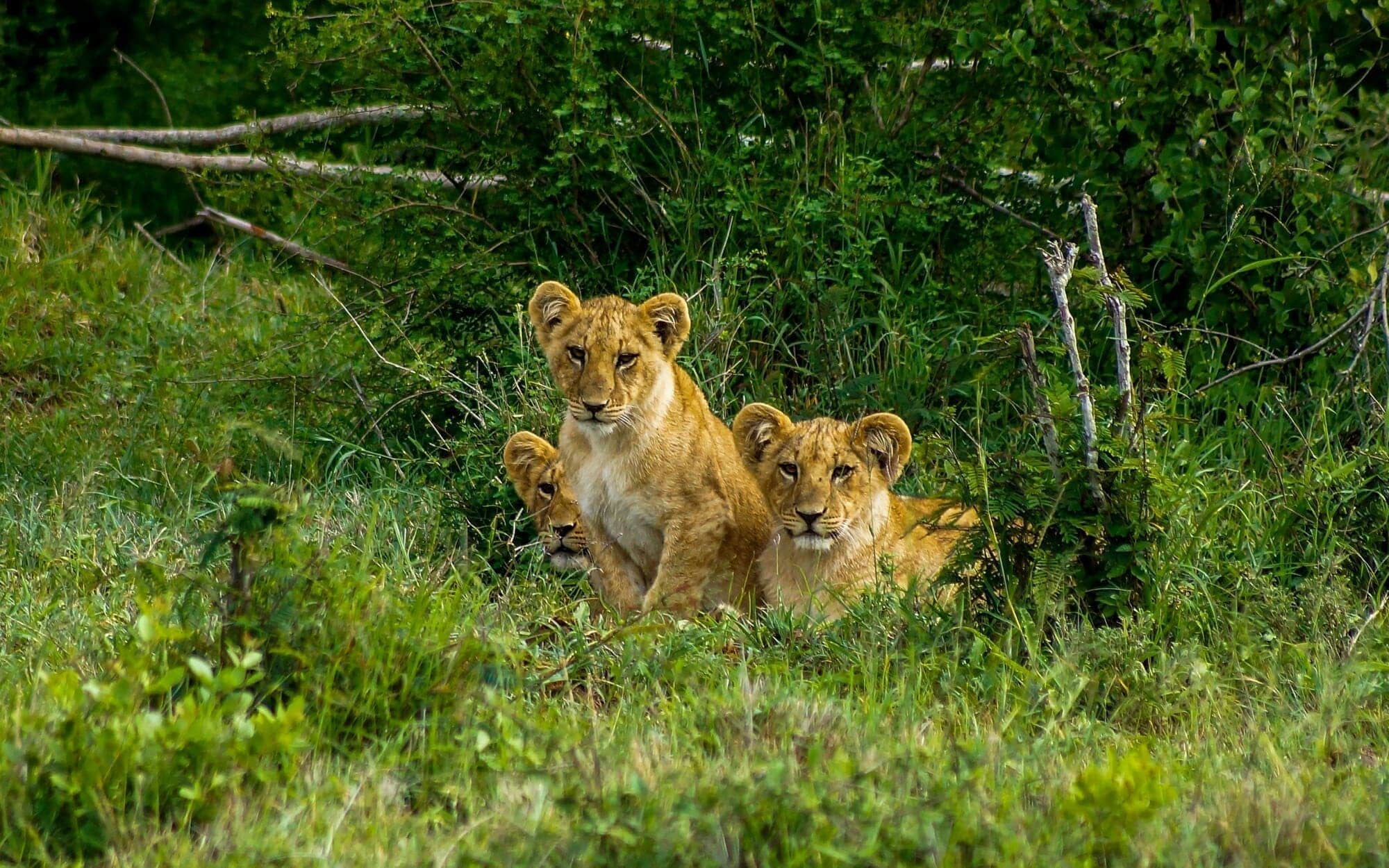 Viajes a Kenia