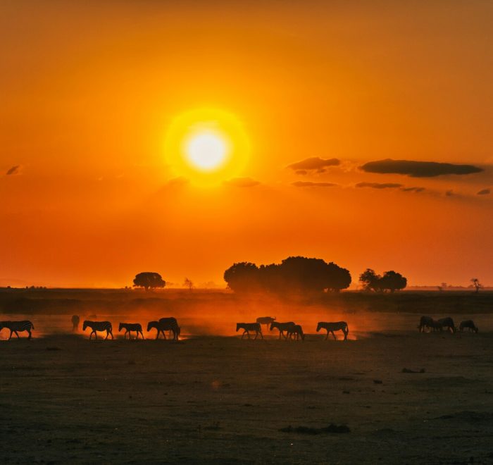 Viajes a Kenia