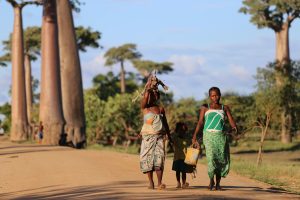 Viajes a Madagascar