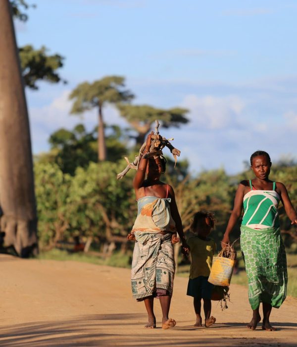 Viajes a Madagascar