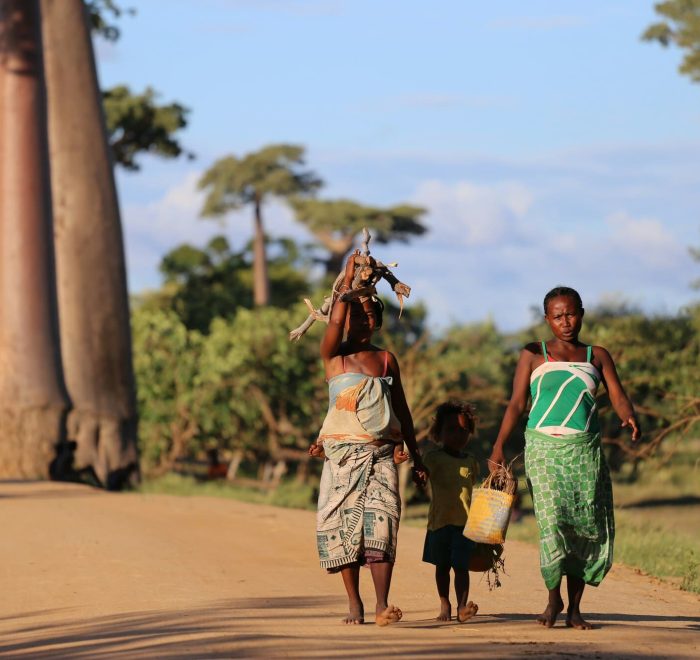 Viajes a Madagascar