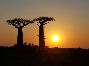 Viajes a Madagascar