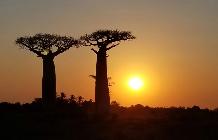 Viajes a Madagascar