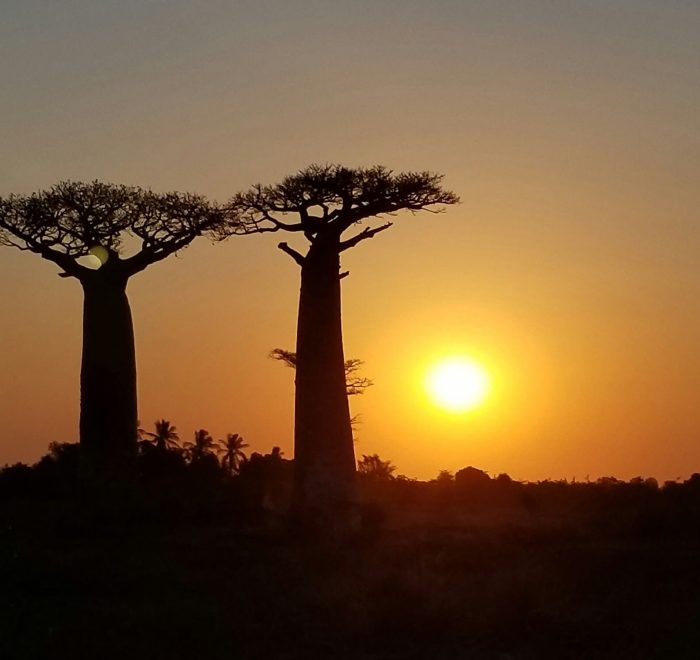 Viajes a Madagascar