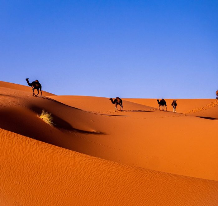 Viajes a Marruecos