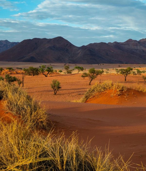 Viajes a Namibia