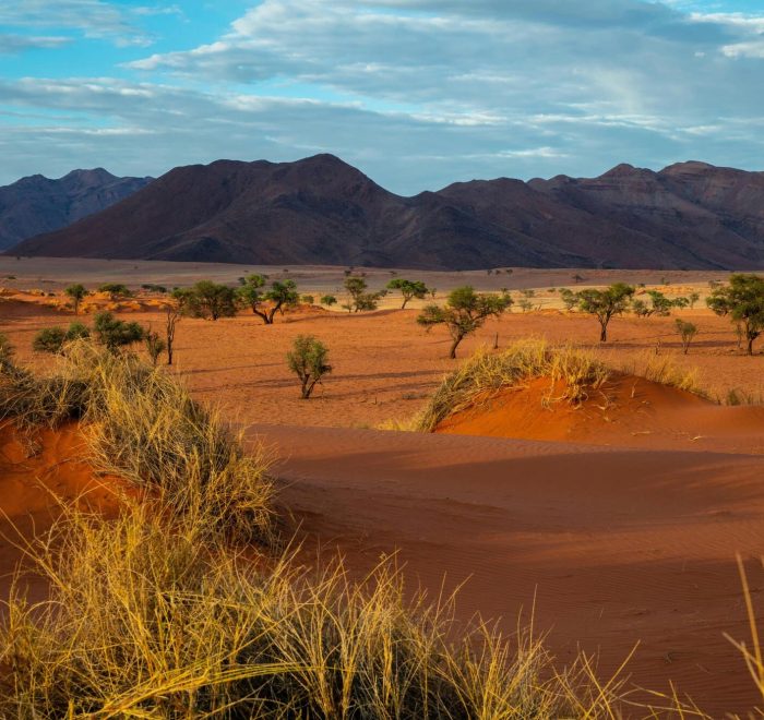 Viajes a Namibia