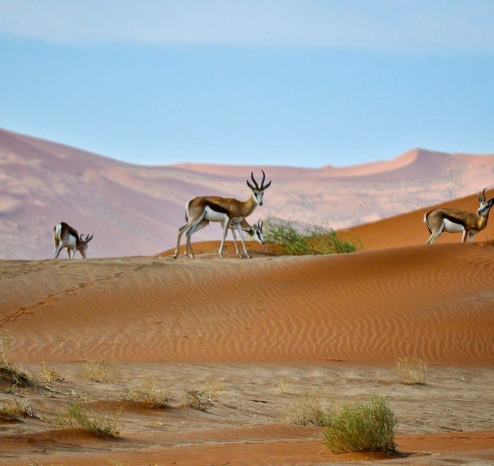 Viajes a Namibia