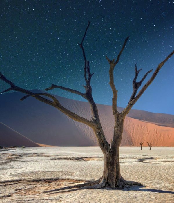 Viajes a Namibia