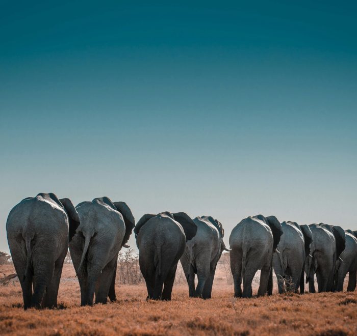 Viajes a Namibia