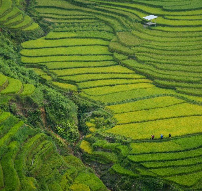 Viajes a Vietnam