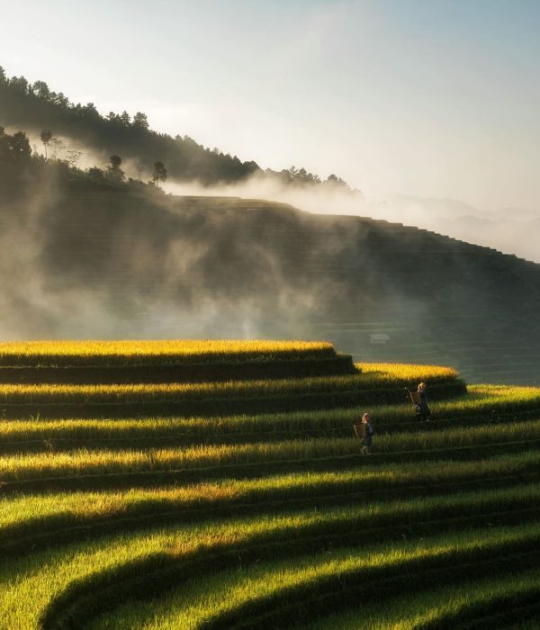 Viajes a Vietnam