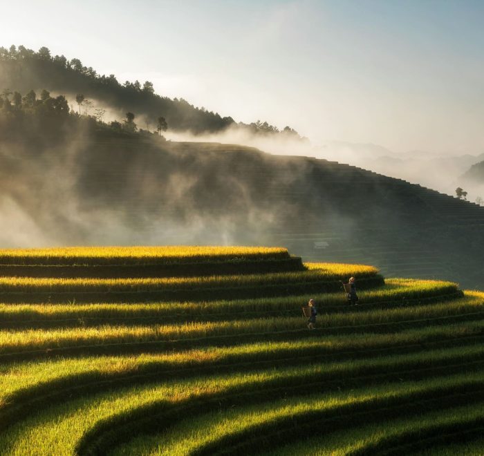 Viajes a Vietnam