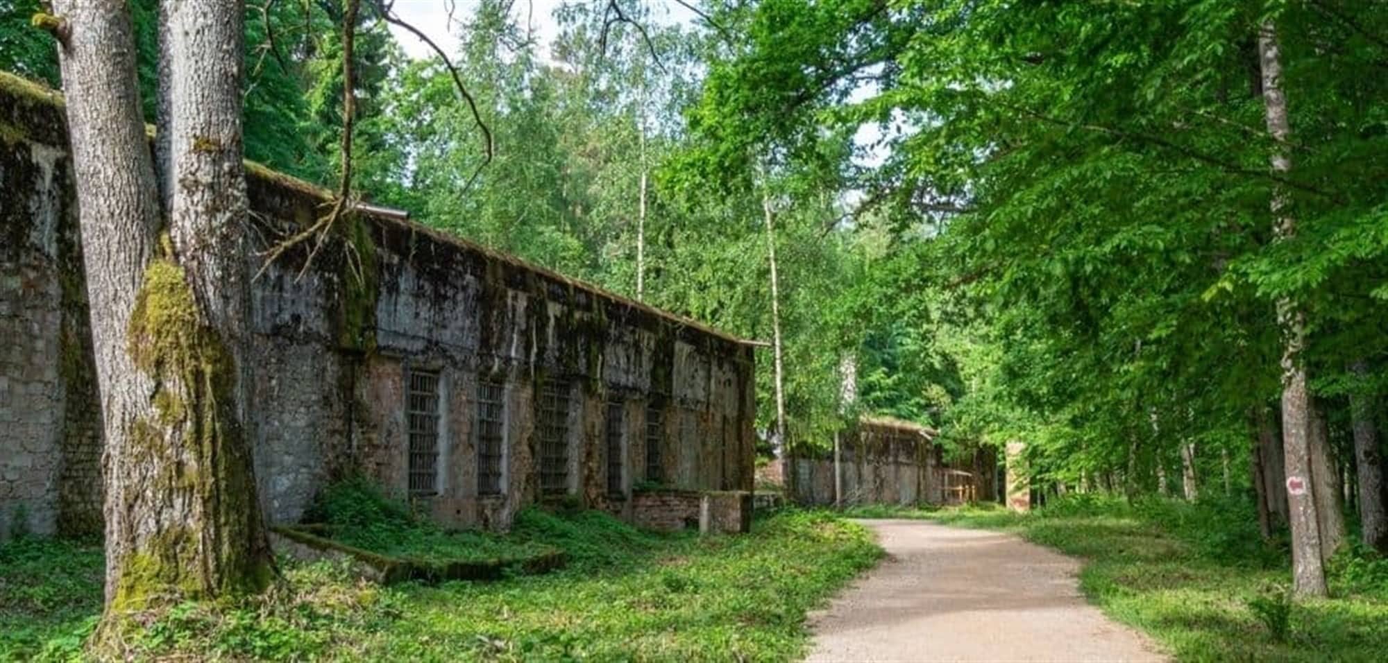 Viaje a Polonia, Lituania, Letonia y Estonia