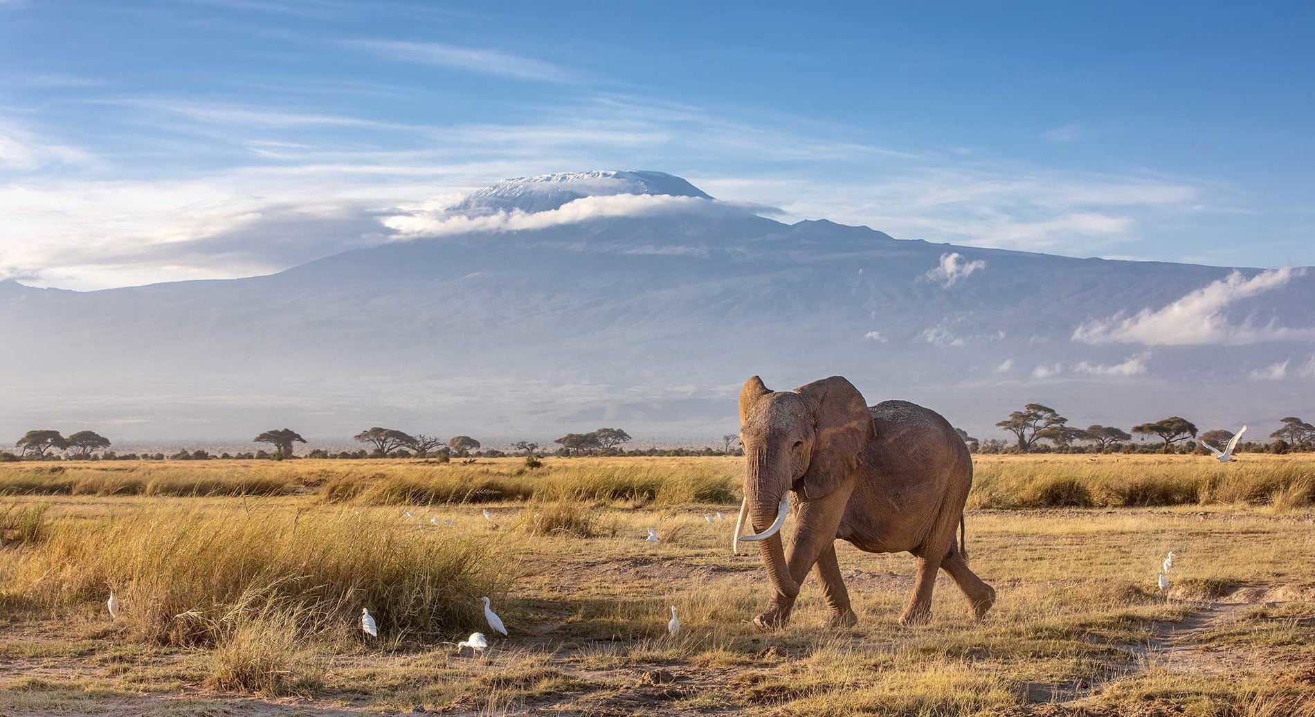 ¡Safari privado a Kenia y playa 2025 con guía en castellano!