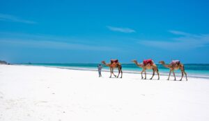 Viajes Kenia