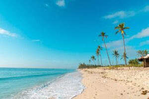 Viajes Kenia. Mombasa. Diani playa